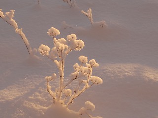 На этой неделе до – 33 градусов