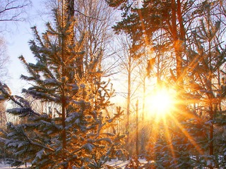 Сегодня один из важных дней в году