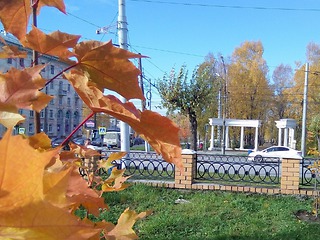 Заморозки и шквалистый ветер