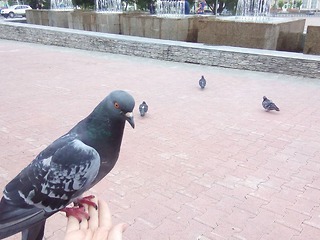 Это был очень тёплый октябрь