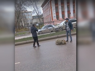 На пешеходном переходе в выходные была сбита студентка