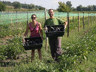 Теперь и у нас