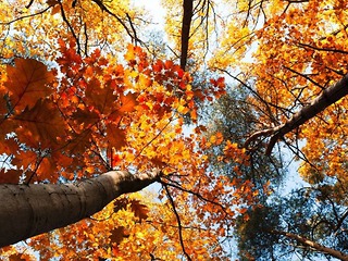 Октябрь в Березниках будет холоднее нормы