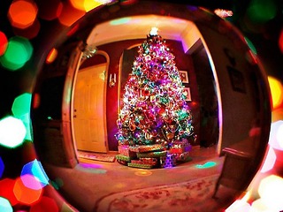 Верующие христиане, а также многие не верующие, сегодня отмечают Рождество