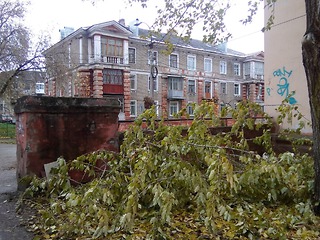 Ураганный ветер оставил без электричества дома жителей региона