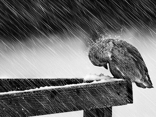 Метеорологи прогнозируют похолодание до -12 градусов