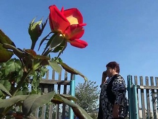 Мобильной связи в отдалённых посёлках нашего округа быть