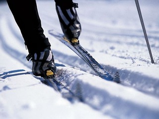 Всероссийская лыжная гонка «Лыжня России-2019» пройдёт в Березниках