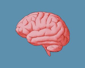 Тест: Ваш уровень IQ