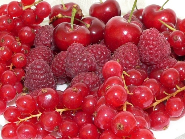 Яйца и еще 8 продуктов, которые продлевают жизнь