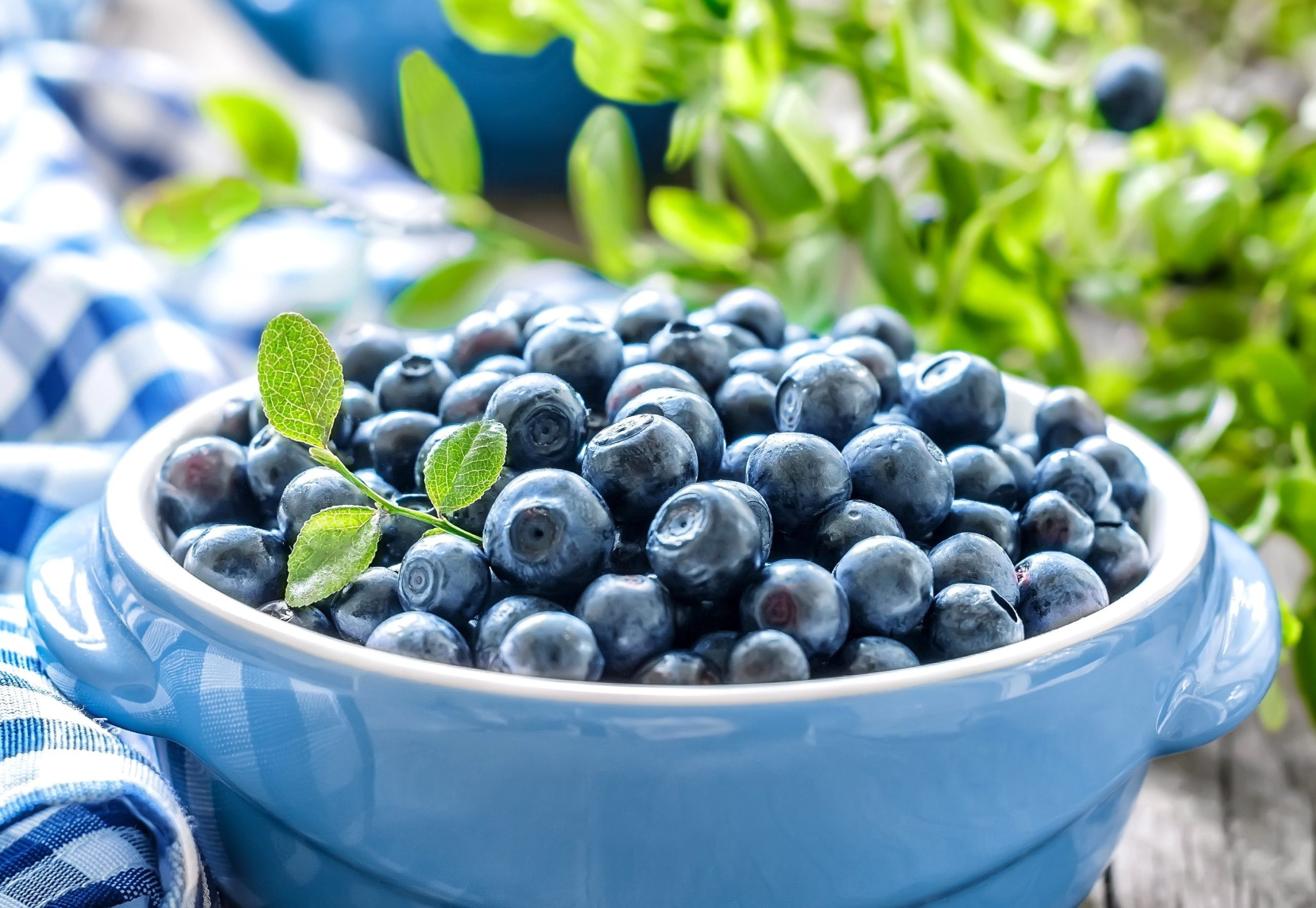 Какие продукты уничтожают раковые клетки