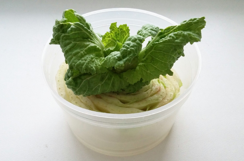 Полезная экономия: 14 продуктов, которые можно сначала скушать, а потом вырастить снова