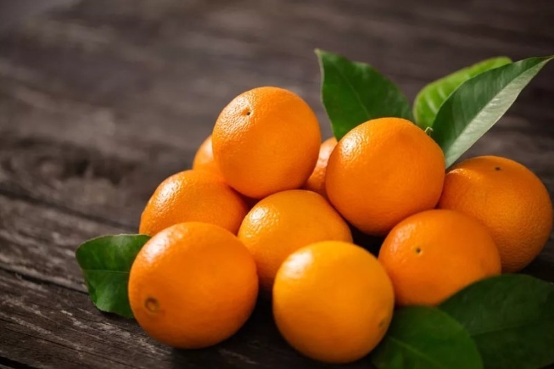 10 продуктов, которые быстрее испортятся в холодильнике, чем без него