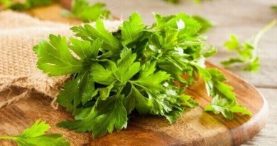 Петрушка: плюсы и минусы ресторана