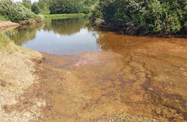 Эти реки текут в никуда: загрязнение водоёмов стало системной проблемой 