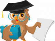 Как выбрать сервис для заказа курсовой работы?