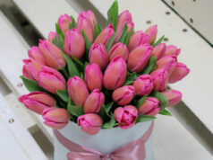 Доставка букетов из тюльпанов — быстро и удобно!
