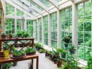 Технологии производства зимних садов
