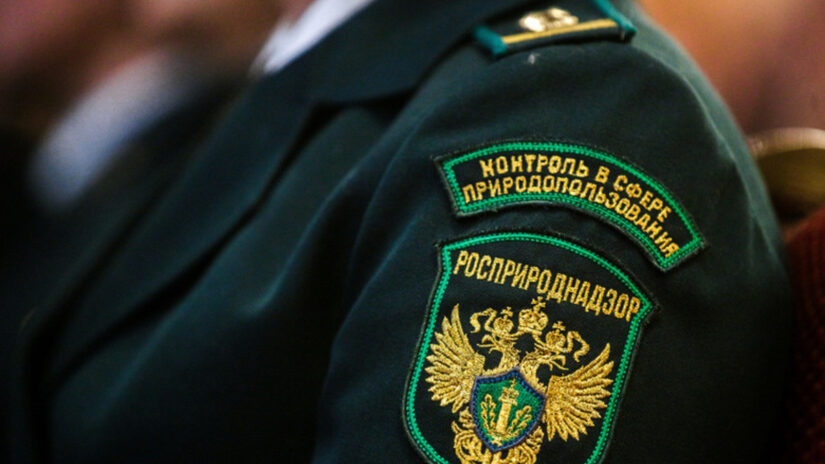 Чем занимается Росприроднадзор?