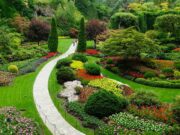 Особенности ландшафтного проектирования