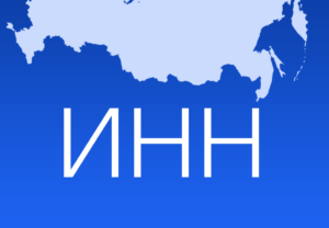 Получение идетнификационного кода иностранцем: зачем это нужно?