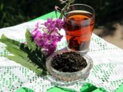 Иван-чай: невероятный вкус и польза в каждом глотке