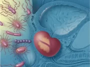 Простатит: основные причины возникновения и нюансы лечения