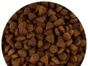 Лучшие корма для кастрированных котов в 2022 году