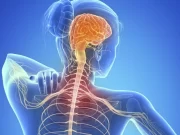 Рассеянный склероз: причины, симптомы и лечение заболевания