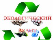 Экологический аудит: суть процесса и роль в защите окружающей среды