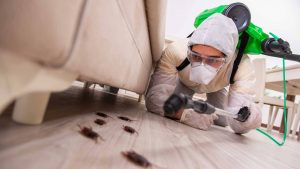 Дезинфекция в Ростове от «Чикой Сервис»: оперативность, качество и безопасность