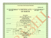 Что такое официальный перевод свидетельства о рождении?