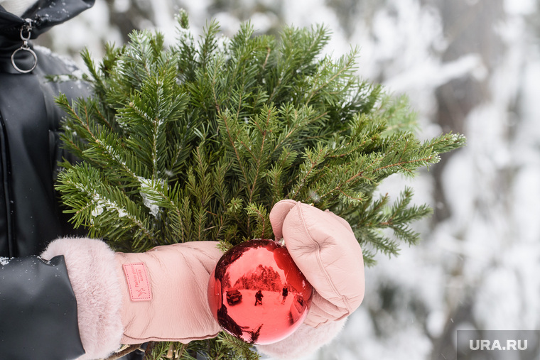 Где и с кем известные пермяки встретят Новый год
