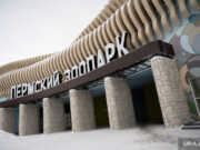 Не дождались: что обещали построить и открыть в Перми в 2024 году. Фото, видео