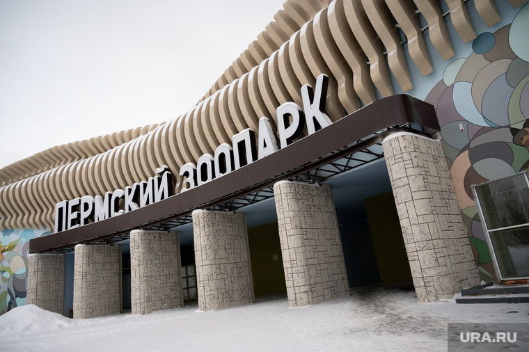 Не дождались: что обещали построить и открыть в Перми в 2024 году. Фото, видео