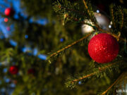 Пермские слухи: уродливая елка для депутатов