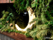 Ванна и елки на песке: чем удивляют пермяков фотостудии в преддверии Нового года. Фото, видео