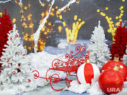 Гуляния, концерты и космос: что ждет пермяков на Рождество