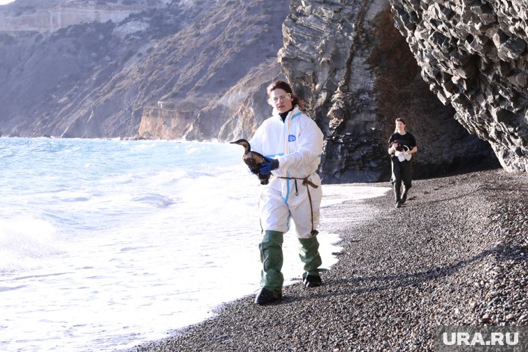 &laquo;Я когда смотрю на волонтеров, нервничать начинаю&raquo;: как в Крыму ловят мазут