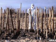 Побережье Черного моря переключили на режим ЧС