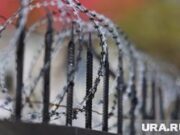 Сын экс-начальника колонии «Белый лебедь» Саркисян просит снять судимость