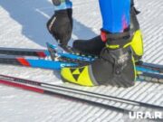 В Перми для участников «Лыжни России» будут ходить дополнительные автобусы