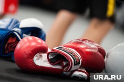 В подпольных спортклубах готовят бойцов этнических ОПГ 