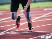 Чем известен стадион «Трудовые резервы», против застройки которого выступают пермяки