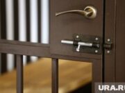 Экс-чиновника пермского минтранса Уголькова отправили в колонию за взятку