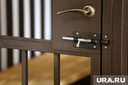 Экс-чиновника пермского минтранса Уголькова отправили в колонию за взятку