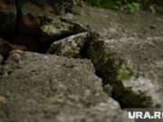 Пермячке помог чат GPT во время землетрясения в Таиланде. Фото, видео