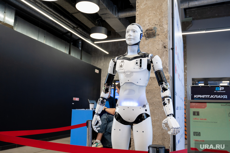 Пермские слухи: робот Арди хочет в&nbsp;Кремль