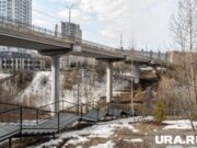 «Берегите животных и каблуки»: журналисты URA.RU в Перми прогулялись по экотропе в долине Егошихи