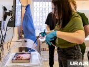 «Погнула иглу»: откровения пермячки, попробовавшей себя в роли хирурга. Фото, видео